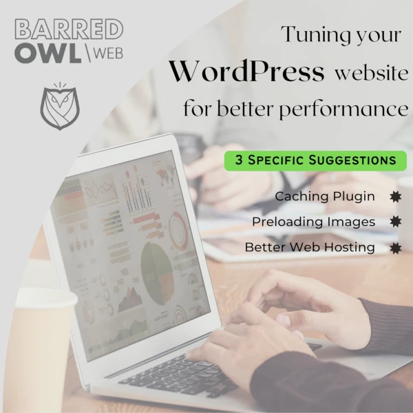 Tuning Your Wordpress Website For Better Performance Barred Owl Web