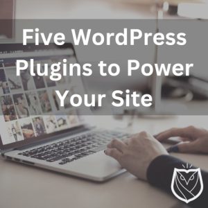 Five WordPress Plugins to Power your Site - From Barred Owl Web